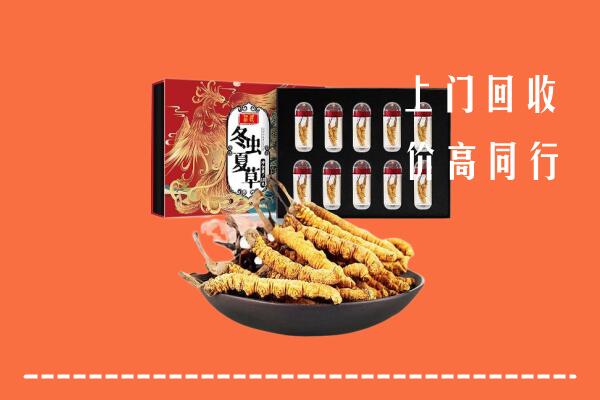 收购行情：深圳大鹏回收虫草